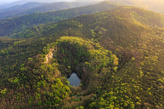 Basaltsee im Naturschutzgebiet Pechsteinkopf am Alten Forster Basalt-Steinbruch in Forst an der Weinstraße im Bundesland Rheinland-Pfalz, Deutschland aus der Luft