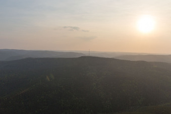 Weinbiet im Ortsteil Haardt in Neustadt an der Weinstraße im Bundesland Rheinland-Pfalz, Deutschland