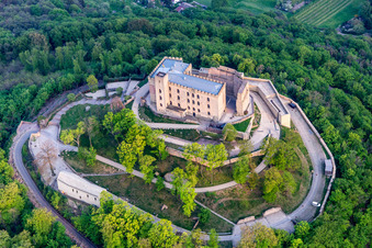 Drohnenbild von Ortsteil Diedesfeld in Neustadt an der Weinstraße im Bundesland Rheinland-Pfalz, Deutschland