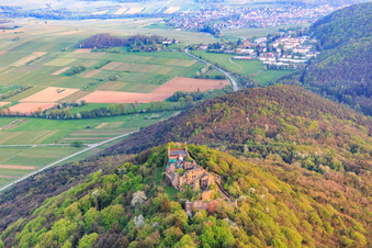 Luftaufnahme von Burgruine Madenburg auf einem herbstlich verfärbten Berg des Pfälzerwalds aus Norden in Eschbach im Bundesland Rheinland-Pfalz, Deutschland