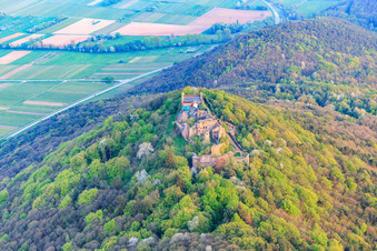 Schrägluftbild von Burgruine Madenburg auf einem herbstlich verfärbten Berg des Pfälzerwalds aus Norden in Eschbach im Bundesland Rheinland-Pfalz, Deutschland
