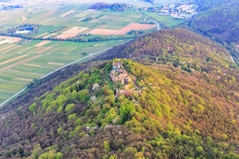 Burgruine Madenburg auf einem herbstlich verfärbten Berg des Pfälzerwalds aus Norden in Eschbach im Bundesland Rheinland-Pfalz, Deutschland von oben