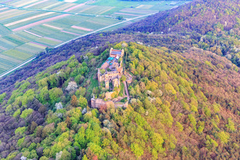 Burgruine Madenburg auf einem herbstlich verfärbten Berg des Pfälzerwalds aus Norden in Eschbach im Bundesland Rheinland-Pfalz, Deutschland aus der Luft