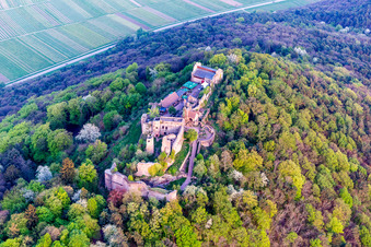 Ruine und Mauerreste der ehemaligen Burganlage Madenburg im Frühling in Eschbach im Bundesland Rheinland-Pfalz, Deutschland