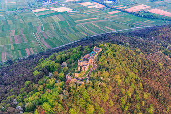 Burgruine Madenburg auf einem herbstlich verfärbten Berg des Pfälzerwalds aus Norden in Eschbach im Bundesland Rheinland-Pfalz, Deutschland vom Flugzeug aus