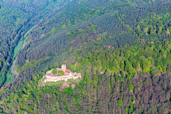 Ruine Landeck mit Paragleiter in Klingenmünster im Bundesland Rheinland-Pfalz, Deutschland