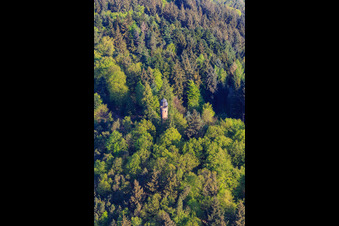 Luftbild von Martinsturm mit Aussichtspunkt Wasgaublick in Klingenmünster im Bundesland Rheinland-Pfalz, Deutschland