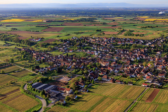 Winzerdorf an der deutschen Weinstraße aus Nordwesten in Oberotterbach im Bundesland Rheinland-Pfalz, Deutschland