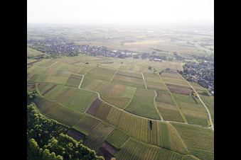 Luftbild von Wissembourg, Weinlage Sonnenberg im Bundesland Bas-Rhin, Frankreich