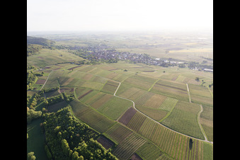 Luftaufnahme von Wissembourg, Weinlage Sonnenberg im Bundesland Bas-Rhin, Frankreich