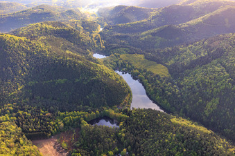 Luftbild von Seehof-Weiher / Portzbach mit Kiosk in Erlenbach bei Dahn im Bundesland Rheinland-Pfalz, Deutschland