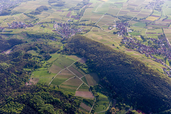 Luftbild von Haardtrand Wolfsteig in Pleisweiler-Oberhofen im Bundesland Rheinland-Pfalz, Deutschland
