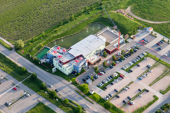 Neustadt an der Weinstraße im Bundesland Rheinland-Pfalz, Deutschland vom Flugzeug aus