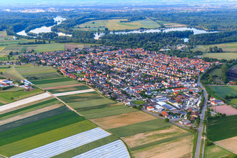 Ortsansicht aus Westen in Otterstadt im Bundesland Rheinland-Pfalz, Deutschland