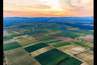 Windpark Minfeld im Bundesland Rheinland-Pfalz, Deutschland