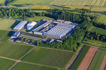 K&S Metall- und Maschinenbau GmbH. KHS GmbH und Helbig & Lang GmbH im Ortsteil Pfeddersheim in Worms im Bundesland Rheinland-Pfalz, Deutschland