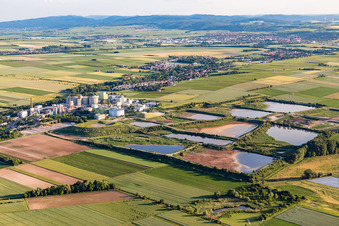 Klärwerksbecken zur Abwasserbehandlung der Zuckerfabrik Südzucker AG in Obrigheim (Pfalz) im Bundesland Rheinland-Pfalz, Deutschland