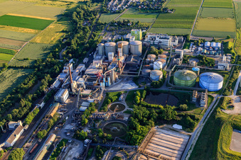 Südzucker AG in Obrigheim im Bundesland Rheinland-Pfalz, Deutschland von oben