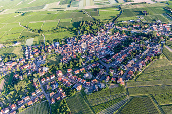 Luftbild von Ortsansicht am Rande von landwirtschaftlichen Feldern und Nutzflächen in Großkarlbach im Bundesland Rheinland-Pfalz, Deutschland
