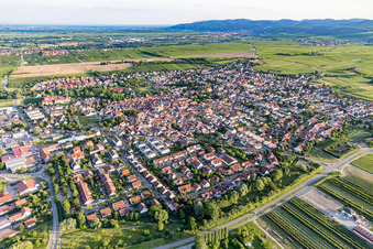 Luftaufnahme von Freinsheim im Bundesland Rheinland-Pfalz, Deutschland