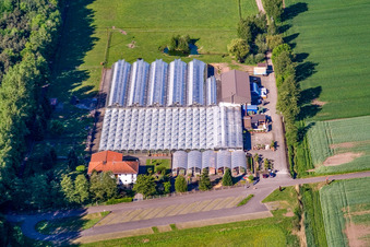 Luftbild von Kakteenland Steinfeld im Bundesland Rheinland-Pfalz, Deutschland