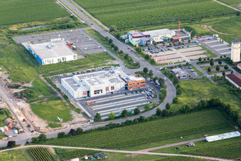 Cineplex Decathlon in Neustadt an der Weinstraße im Bundesland Rheinland-Pfalz, Deutschland