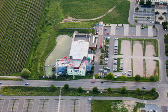 Neustadt an der Weinstraße im Bundesland Rheinland-Pfalz, Deutschland aus der Vogelperspektive