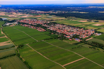 Ortsansicht von Nordwesten im Ortsteil Niederhochstadt in Hochstadt im Bundesland Rheinland-Pfalz, Deutschland