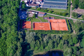 Tennisplatz am Bienwald in Steinfeld im Bundesland Rheinland-Pfalz, Deutschland
