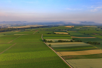 Horbachniederung am Morgen im Ortsteil Ingenheim in Billigheim-Ingenheim im Bundesland Rheinland-Pfalz, Deutschland