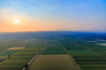 Horbachniederung im Morgennebel im Ortsteil Ingenheim in Billigheim-Ingenheim im Bundesland Rheinland-Pfalz, Deutschland
