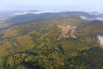 Verstecktes Dorf im Pfälzerwald aus Osten in Dörrenbach im Bundesland Rheinland-Pfalz, Deutschland aus der Luft