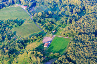 Luftaufnahme von Sportplatz des SV 1946 Dörrenbach Fußballverein und Wohnmobil-Stellplatz Dörrenbach im Bundesland Rheinland-Pfalz, Deutschland