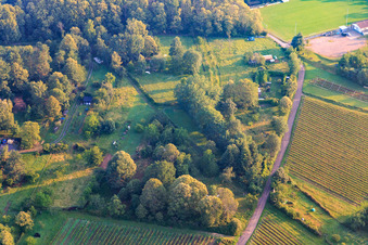 Garten am Waldrand in Dörrenbach im Bundesland Rheinland-Pfalz, Deutschland