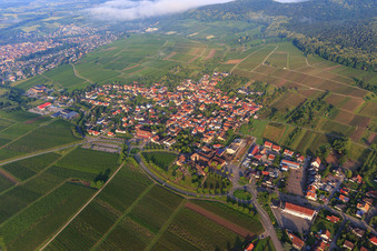 Winzerdorf aus Osten im Ortsteil Schweigen in Schweigen-Rechtenbach im Bundesland Rheinland-Pfalz, Deutschland