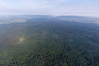 Drohnenaufname von Ortsteil Schaidt in Wörth am Rhein im Bundesland Rheinland-Pfalz, Deutschland