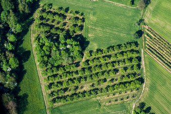 Drohnenaufname von Wissembourg im Bundesland Bas-Rhin, Frankreich