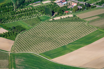 Drohnenbild von Wissembourg im Bundesland Bas-Rhin, Frankreich