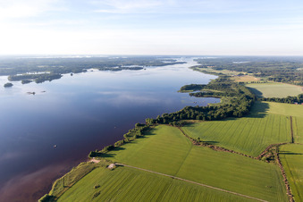 Ufer des moorfarbenen Åsnen-See bei Skatelöv in Småland in Kronobergs län in Grimslöv, Schweden