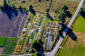 Bunte Beet- Reihen auf einem Feld zur Blumenzucht der Pratensis AB in Lönashult in Kronobergs län, Schweden