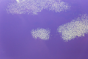 Hunna im Bundesland Kronoberg, Schweden vom Flugzeug aus