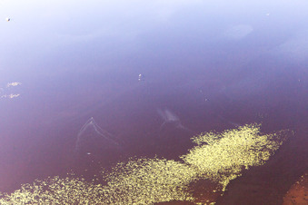 Odensjö im Bundesland Kronoberg, Schweden aus der Vogelperspektive