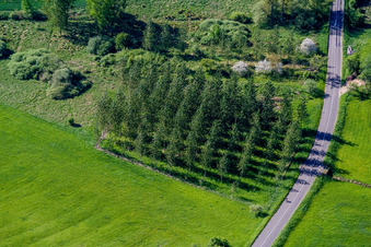 Rothbach im Bundesland Bas-Rhin, Frankreich von oben gesehen