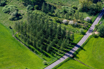 Rothbach im Bundesland Bas-Rhin, Frankreich vom Flugzeug aus