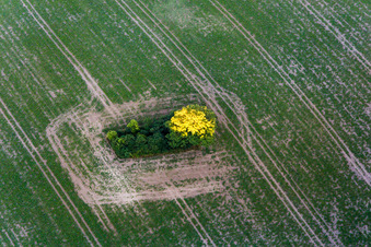 Borre im Bundesland Sjælland, Dänemark von einer Drohne aus
