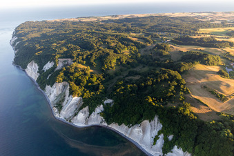 Luftbild von Waldgebiete des Møns Klint am Steilufer der Ostsee in Borre in Region Själland im Bundesland Sjælland, Dänemark