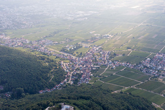 Ortsteil Hambach an der Weinstraße in Neustadt an der Weinstraße im Bundesland Rheinland-Pfalz, Deutschland von oben