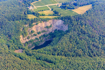 Basalt-See im Naturschutzgebiet Pechsteinkopf - Alter Steinbruch in Forst an der Weinstraße im Bundesland Rheinland-Pfalz, Deutschland