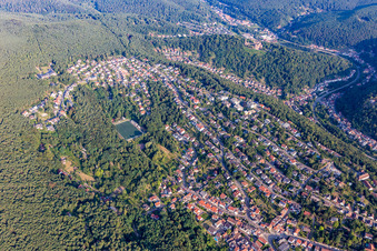 Hammelstalstr im Ortsteil Seebach in Bad Dürkheim im Bundesland Rheinland-Pfalz, Deutschland