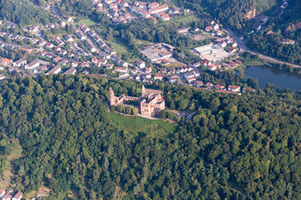Luftaufnahme von Kloster Limburg im Ortsteil Grethen in Bad Dürkheim im Bundesland Rheinland-Pfalz, Deutschland